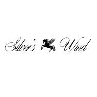 Silver's Wind logo - Similar company to Marvel Websites