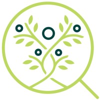 FamilyFinders logo - Similar company to Pediatric Occupational Therapist