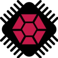 RaspberryTips logo - Similar company to Nxtgen Ai