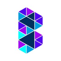 BluePrint Risk logo - Similar company to Daire 2 Succeed