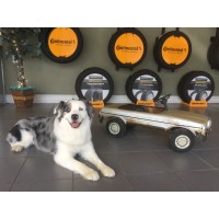 European Cars of Williamsburg logo - Similar company to Worth Harley-Davidson