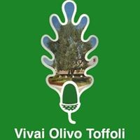 Vivai Olivo Toffoli logo - Similar company to Vivai Cantatore