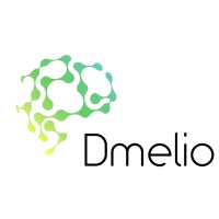 Dmelio - Global Operations and Strategy logo - Similar company to Blockchainlab Ltd.