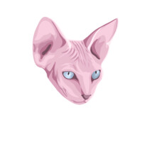 Rouge Délavé logo - Similar company to Knal.Io - Relevant Text Marketing For Indonesia
