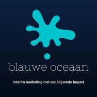 Blauwe oceaan interim marketing