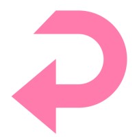 Paydoff logo - Similar company to Fintech Blocks