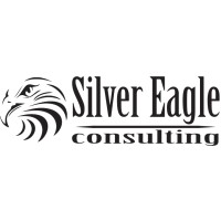 Silver Eagle Consulting logo - Similar company to Stainless Pipe Solutions Ltd