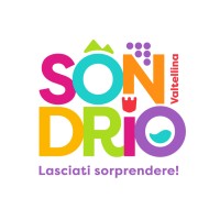 Visita Sondrio logo - Similar company to Cdo Lecco Sondrio | Compagnia Delle Opere Lecco Sondrio