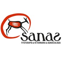 SANAS logo - Similar company to Rfeagas