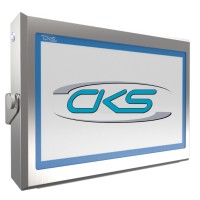 CKS Global Solutions logo - Similar company to Assetone