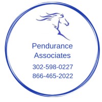 Pendurance Associates logo - Similar company to E. Smith Solutions