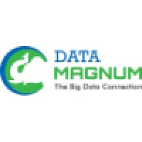 Data Magnum logo - Similar company to Myconversation
