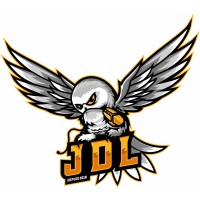 Lan JDL logo - Similar company to Virtual Guardians Foundation