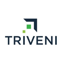 Triveni Capital Investments LP logo - Similar company to Timberlake Consultants