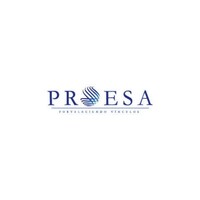 Proesa logo - Similar company to Vipersa
