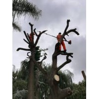 SAMLEE TREE FELLING & LAWN SPECIALISTS logo - Similar company to Belmont Trailers