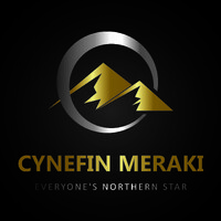 Cynefin Meraki logo - Similar company to Truelogictech
