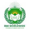 BMI Worldwide logo - Similar company to Adaptive8