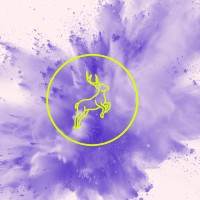 Roots Run•Deep logo - Similar company to Kaihive
