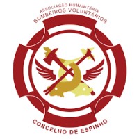 Bombeiros do Concelho de Espinho logo - Similar company to Bearstream