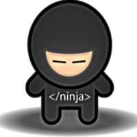 CV Ninja! logo - Similar company to Sprint Cv - Cvs Done Right, Right Away!
