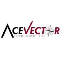 Acevector Consulting, Llc