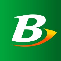 Berocca Singapore logo - Similar company to Dulesé