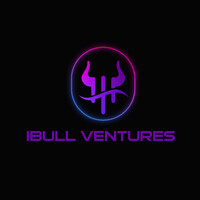 iBull Ventures logo - Similar company to Replete Equities