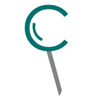 CareWork: Actionable Insights for Exceptional Care logo - Similar company to Carevium