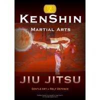 KenShin Martial Arts logo - Similar company to Riverview Martial Arts & Fitness