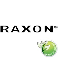 RAXON logo - Similar company to Raxon By Asseco