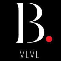 BVLVL logo - Similar company to Sonic Group D.O.O.