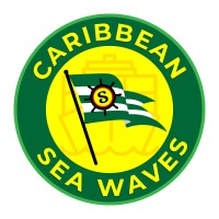 Caribbean Sea Waves LLC logo - Similar company to Carib Conex