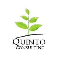 Quinto Consulting, LP logo - Similar company to Connect Institute
