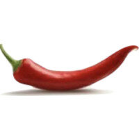 SpicyIT logo - Similar company to Spice It