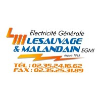SARL Lesauvage et Malandain logo - Similar company to Ace-Trans