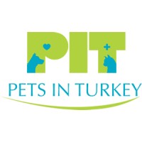 Pets in Turkey Animal Rescue logo - Similar company to Circustraum Conelli