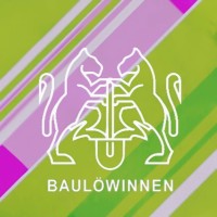 Baulöwinnen - Freiraum für Bauingenieurinnen logo - Similar company to Bauexperts Sachverständigenorganisation