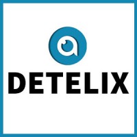 Detelix Software Technologies Ltd logo - Similar company to Peak Of Mind