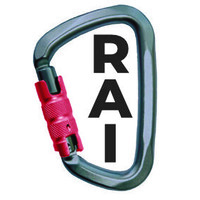 RAI SG Solutions logo - Similar company to Extreme Access Solutions