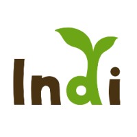INDI GAMES logo - Similar company to Puzzle Studio