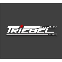 Autohaus Triebel GmbH logo - Similar company to Autohaus Heuberger Gmbh