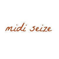 midiseize logo - Similar company to Humanem Formation