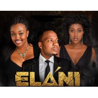 Elani Music logo - Similar company to Quikk Api