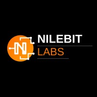 NileBit Labs logo - Similar company to Nextechera Solutions Limited