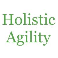 Holistic Agility logo - Similar company to Agility Executives (Aex)