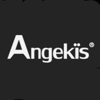 Angekis Technology logo - Similar company to Iadea