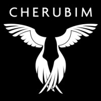 Cherubim Software logo - Similar company to Via Consulting & Development Gmbh