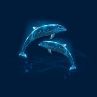 CYBER DOLPHINS Pte.Ltd logo - Similar company to Quantum By Design