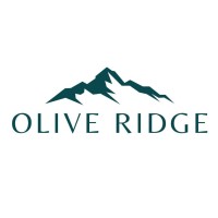 Olive Ridge Partners LLC logo - Similar company to Jfp Holdings, Ltd.